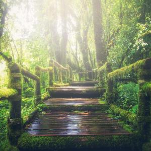 女班长和我一起洗澡裸体
